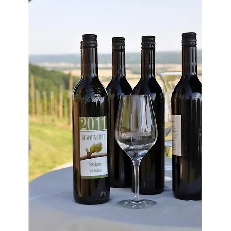 In The Vineyard The Vineyard * Fehring