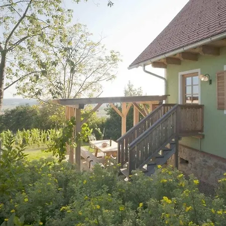 In The Vineyard The Vineyard