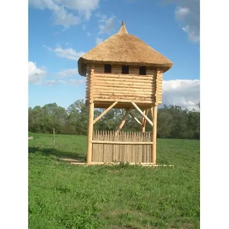 Vakantiehuis In The Vineyard The Vineyard