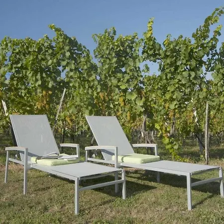 In The Vineyard The Vineyard * Fehring