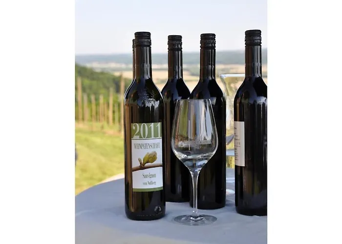 In The Vineyard The Vineyard * Fehring