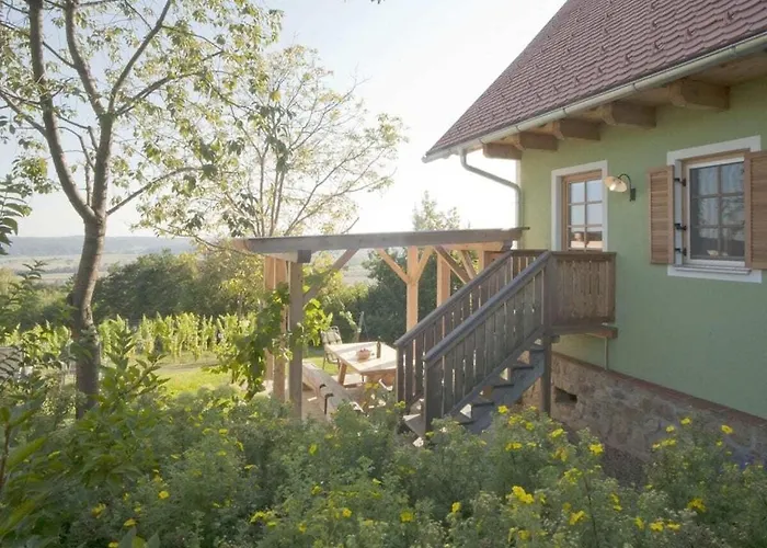 In The Vineyard The Vineyard