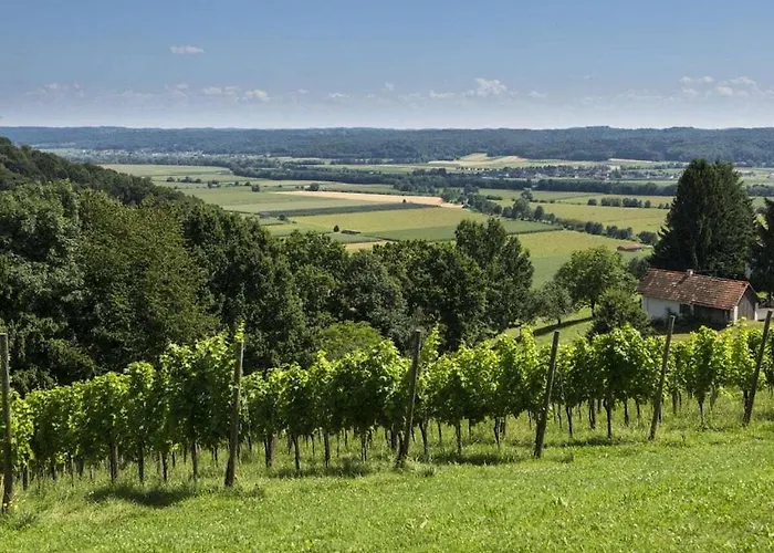 In The Vineyard The Vineyard Fehring