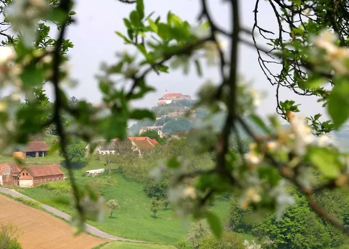 In The Vineyard The Vineyard