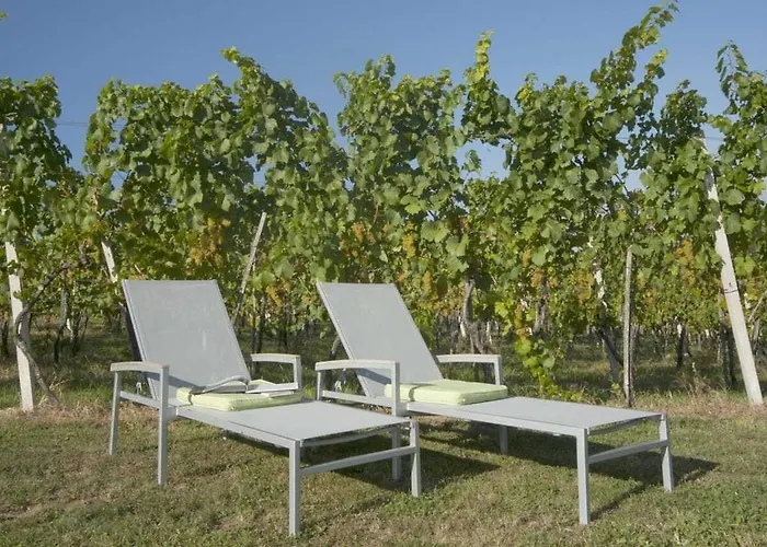 In The Vineyard The Vineyard * Fehring